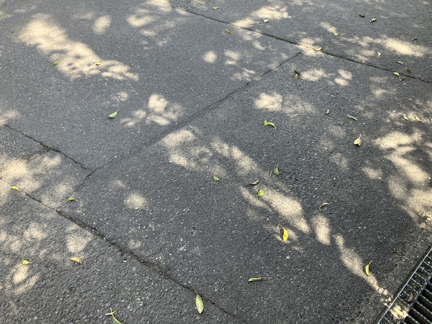 （墨田区 O様）退去当日の緊急依頼に即日対応した不用品回収事例 after